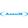 Logo assum