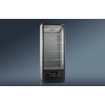 Холодильный шкаф RAPSODY R700LS