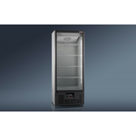 Холодильный шкаф RAPSODY R700МS
