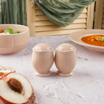 Набор соль+перец, фарфор,серия "Aristocrat-Peach Tea", Noble