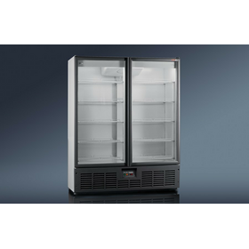 Холодильный шкаф RAPSODY R1520МS