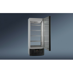 Холодильный шкаф RAPSODY R700МSW